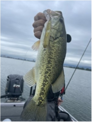 hideup 永野総一朗 ブログ写真 2021/07/10