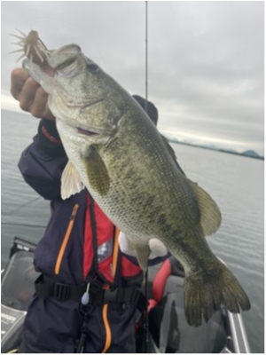 hideup 永野総一朗 ブログ写真 2021/07/10