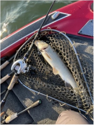 hideup 永野総一朗 ブログ写真 2021/12/03