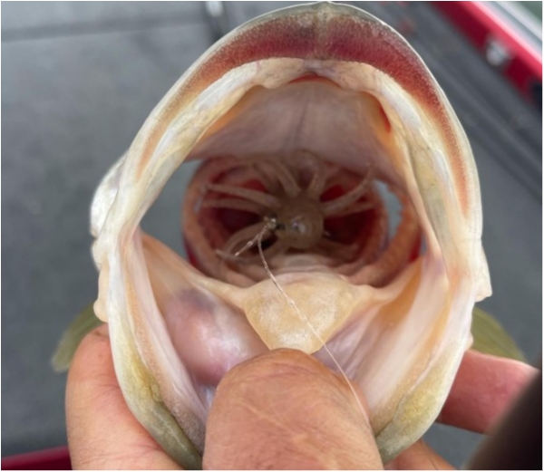 hideup 永野総一朗 ブログ写真 2021/12/08