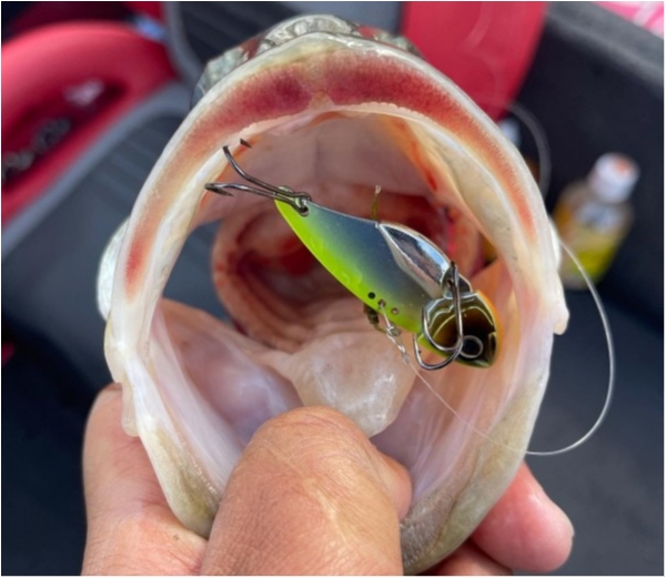 hideup 永野総一朗 ブログ写真 2021/12/08