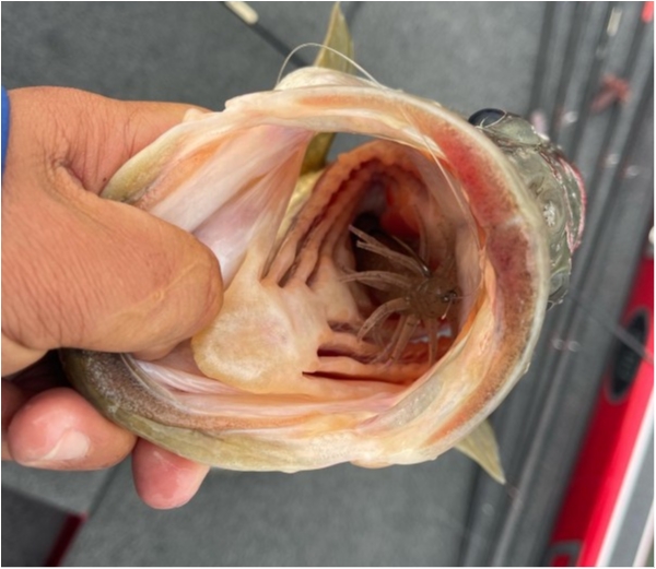 hideup 永野総一朗 ブログ写真 2021/12/08