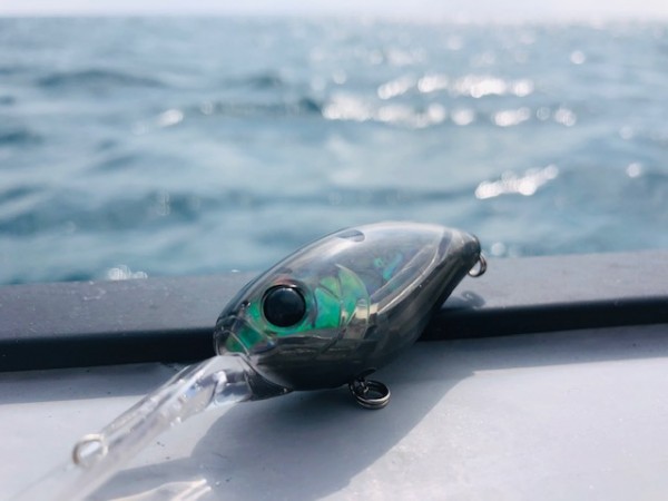 hideup 乃村弘栄 ブログ写真 2019/11/02