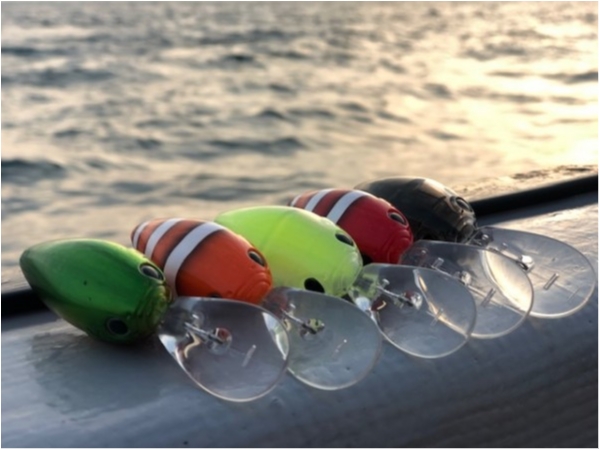 hideup 乃村弘栄 ブログ写真 2019/11/02