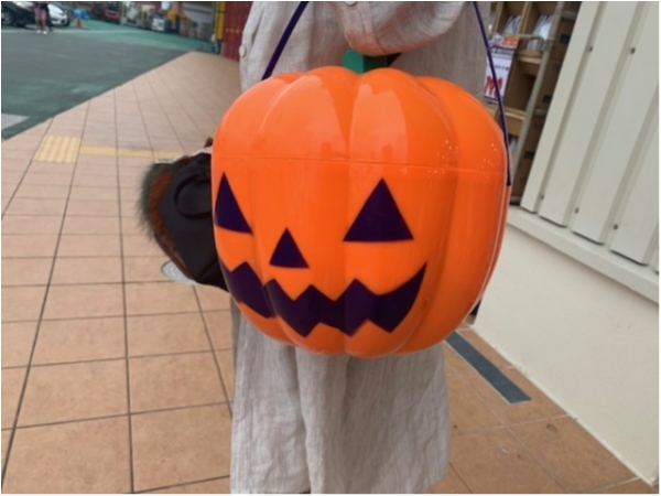 hideup 乃村弘栄 ブログ写真 2019/11/02