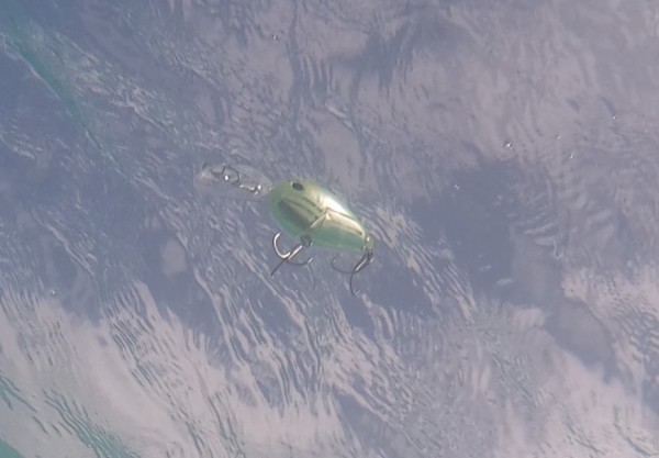 hideup 乃村弘栄 ブログ写真 2019/11/02