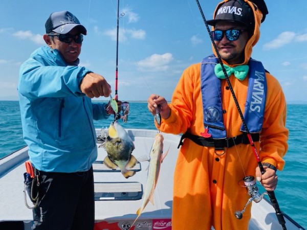 hideup 乃村弘栄 ブログ写真 2019/11/02