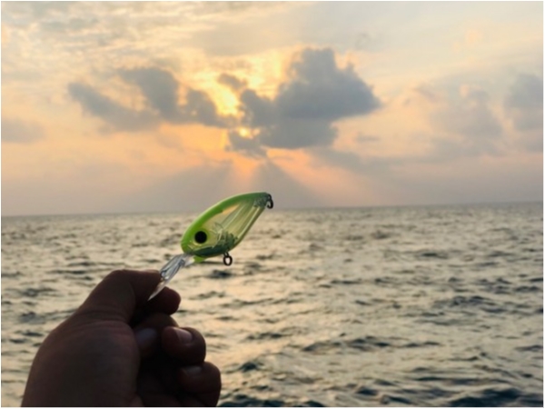 hideup 乃村弘栄 ブログ写真 2019/11/02