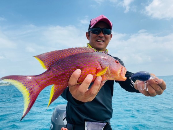 hideup 乃村弘栄 ブログ写真 2019/11/02