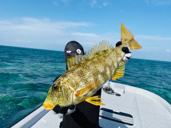 hideup 乃村弘栄 ブログ写真 2019/11/02