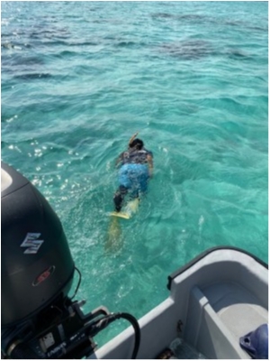 hideup 乃村弘栄 ブログ写真 2019/11/02