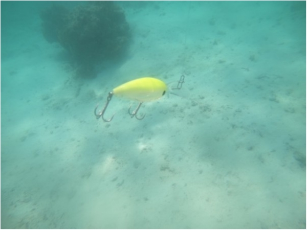 hideup 乃村弘栄 ブログ写真 2019/11/02