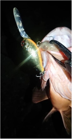 hideup 乃村弘栄 ブログ写真 2019/11/04