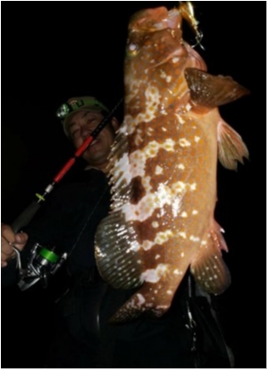 hideup 乃村弘栄 ブログ写真 2019/11/04