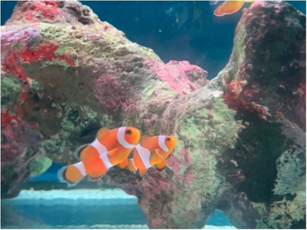 hideup 乃村弘栄 ブログ写真 2019/11/09