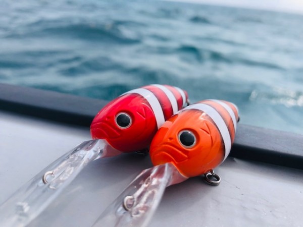 hideup 乃村弘栄 ブログ写真 2019/11/09