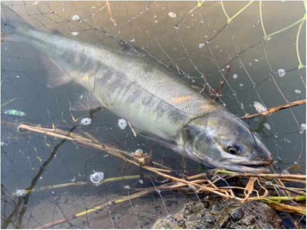 hideup 乃村弘栄 ブログ写真 2019/11/09