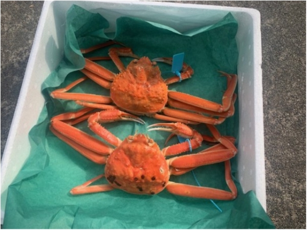 hideup 乃村弘栄 ブログ写真 2019/11/09