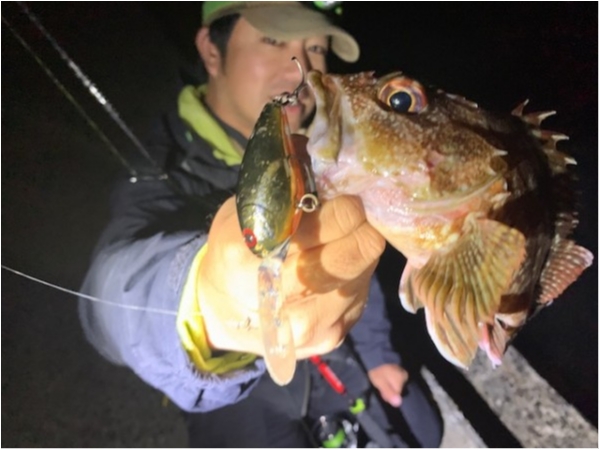 hideup 乃村弘栄 ブログ写真 2019/11/10