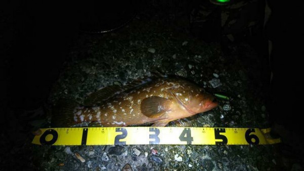 hideup 乃村弘栄 ブログ写真 2019/11/10