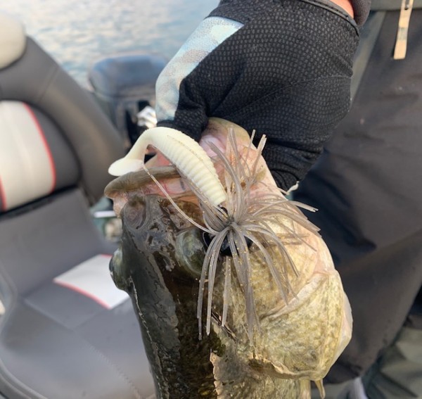 hideup 乃村弘栄 ブログ写真 2019/11/14