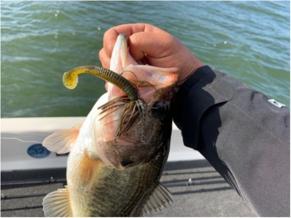 hideup 乃村弘栄 ブログ写真 2019/11/14