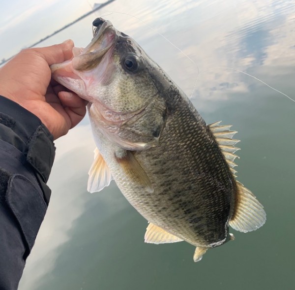 hideup 乃村弘栄 ブログ写真 2019/11/14