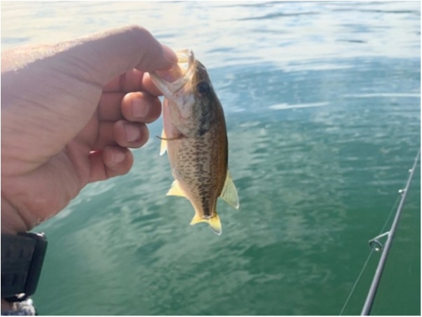 hideup 乃村弘栄 ブログ写真 2019/11/14