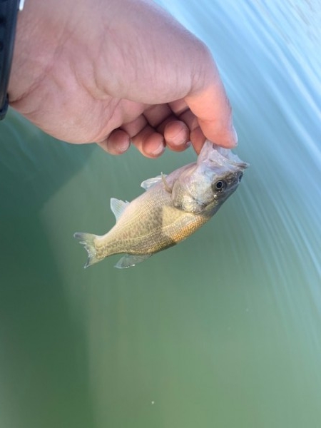 hideup 乃村弘栄 ブログ写真 2019/11/14