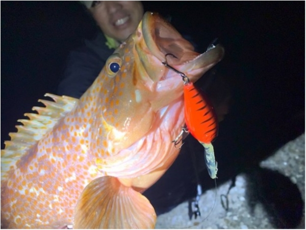 hideup 乃村弘栄 ブログ写真 2019/11/14