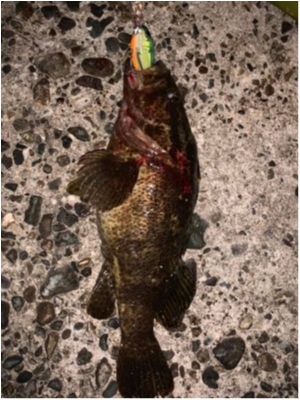 hideup 乃村弘栄 ブログ写真 2019/11/16