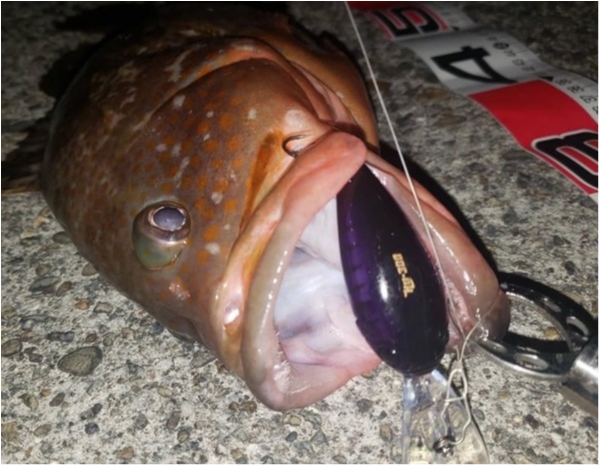 hideup 乃村弘栄 ブログ写真 2019/11/16