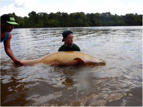 hideup 乃村弘栄 ブログ写真 2019/12/04
