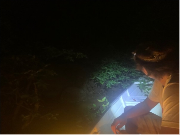 hideup 乃村弘栄 ブログ写真 2019/12/06