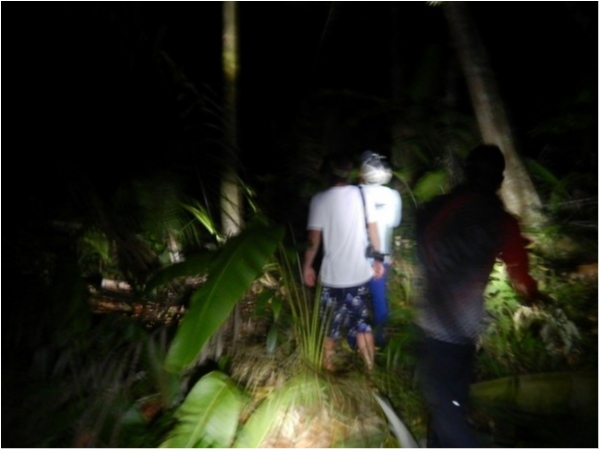 hideup 乃村弘栄 ブログ写真 2019/12/06