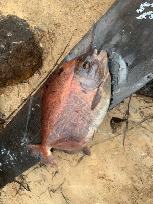 hideup 乃村弘栄 ブログ写真 2019/12/07