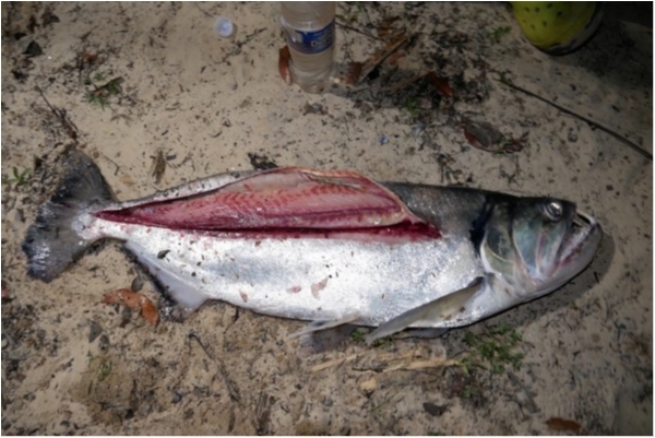 hideup 乃村弘栄 ブログ写真 2019/12/07