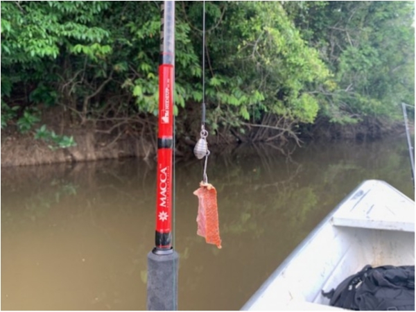 hideup 乃村弘栄 ブログ写真 2019/12/08