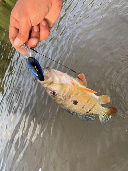 hideup 乃村弘栄 ブログ写真 2019/12/08