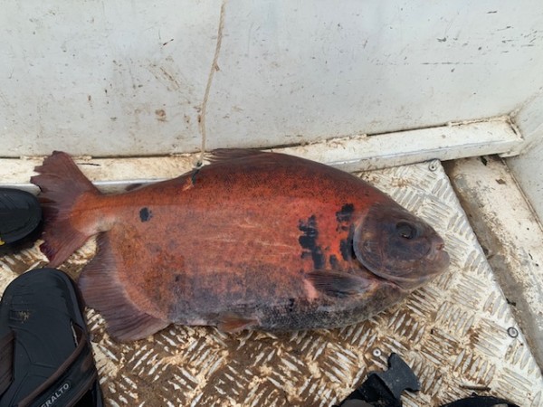 hideup 乃村弘栄 ブログ写真 2019/12/08