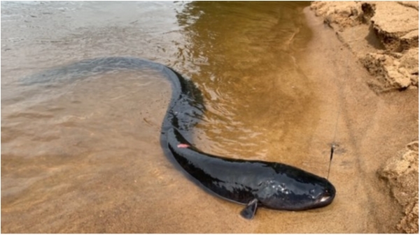 hideup 乃村弘栄 ブログ写真 2019/12/08