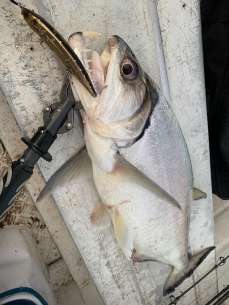 hideup 乃村弘栄 ブログ写真 2019/12/08