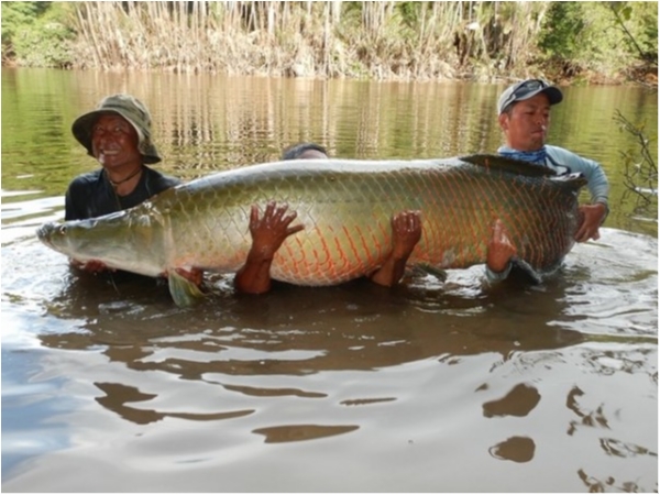 hideup 乃村弘栄 ブログ写真 2019/12/09