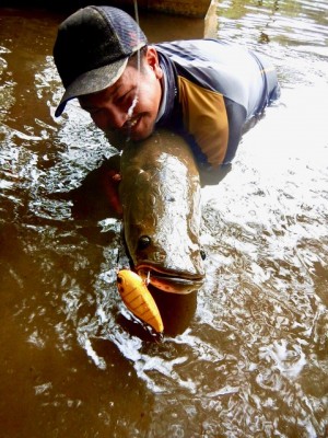 hideup 乃村弘栄 ブログ写真 2019/12/15