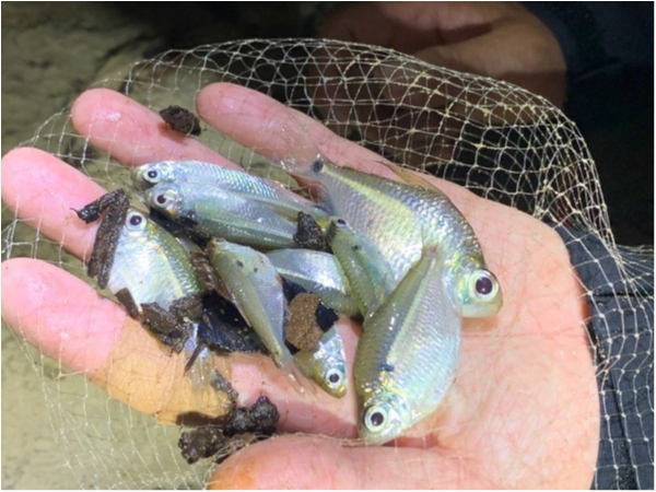 hideup 乃村弘栄 ブログ写真 2019/12/15