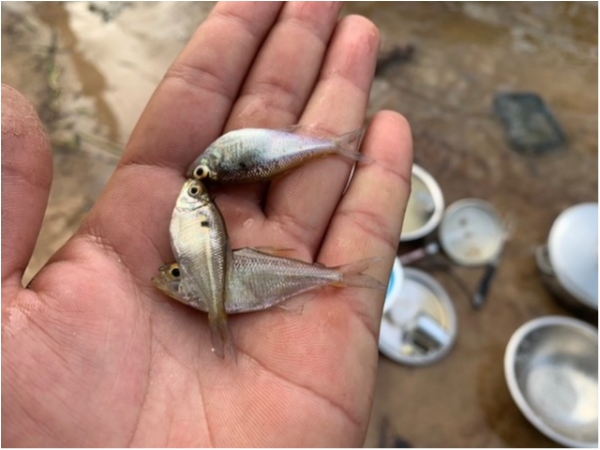 hideup 乃村弘栄 ブログ写真 2019/12/15