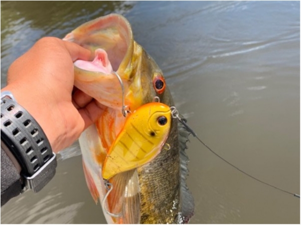 hideup 乃村弘栄 ブログ写真 2019/12/15