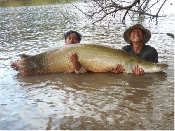 hideup 乃村弘栄 ブログ写真 2019/12/15