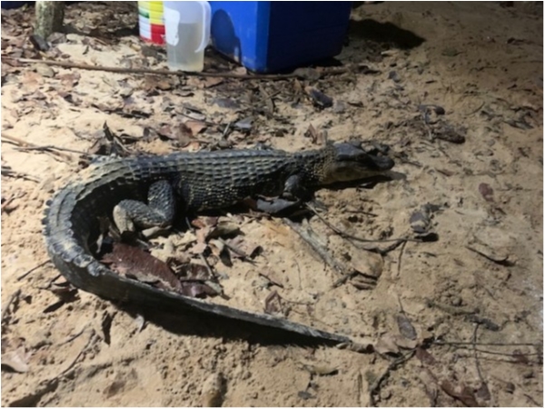 hideup 乃村弘栄 ブログ写真 2019/12/15