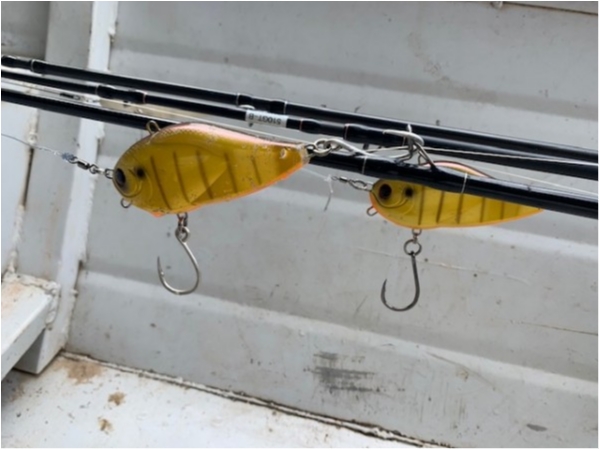 hideup 乃村弘栄 ブログ写真 2019/12/16